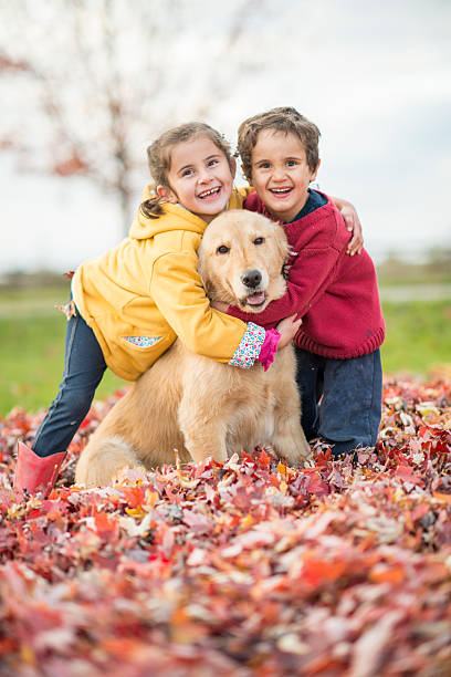 Siblings Playing with Their Pet Dog A brother and sister are playing outside in the leaves on a beautiful fall day with their dog. beautiful young brunette girl playing with her dog stock pictures, royalty-free photos & images