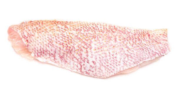 Side of Red Snapper Isolated on a White Background stock photo