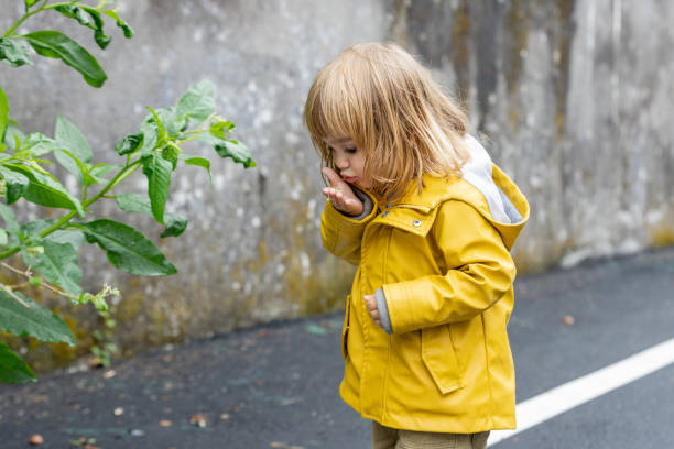 Side view of adorable little kid in bright yellow raincoat standing on wet street and playing with green plant after rain stock photo