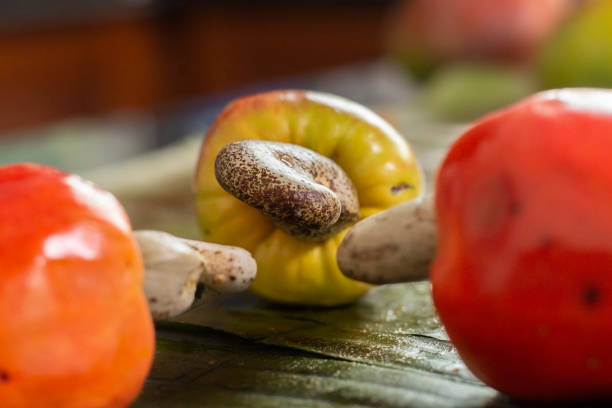 Side view of cashew fruit arranged on a banana leaf stock photo