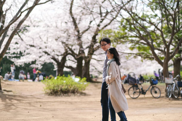 咲き誇る桜の下を歩くカップルの横顔 - 春 ストックフォトと画像