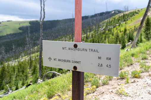 Sign for the trailhead to Mt. Washburn summit in Yellowstone National Park