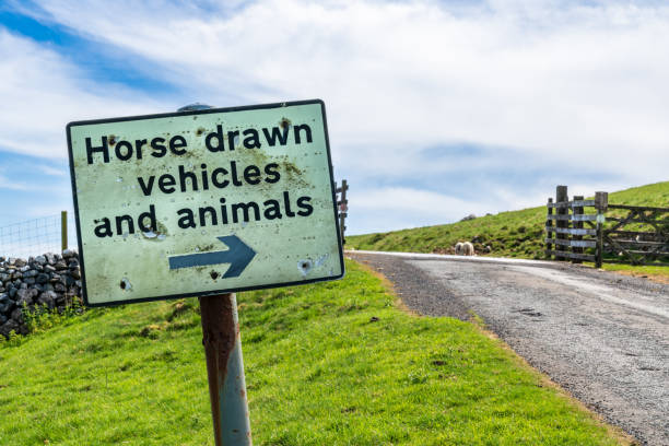 Sign: Horse drawn vehicles and animals Sign: Horse drawn vehicles and animals - with some sheep in the background, seen near Halton Gill, North Yorkshire, England, UK cattle grid stock pictures, royalty-free photos & images