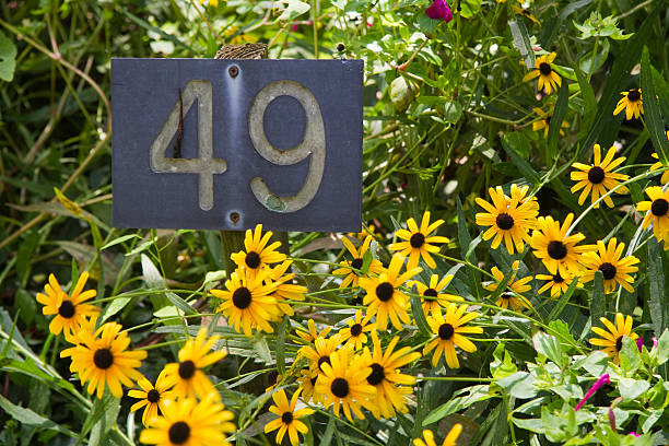 Sign in the Flowers stock photo