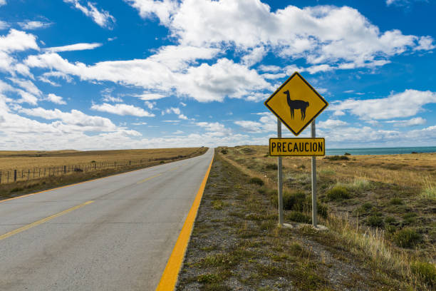 Sign of Lama warning near Chilean road stock photo