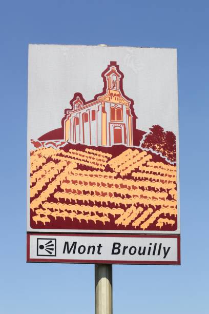 Signboard with Mont Brouilly in Beaujolais, France Signboard with Mont Brouilly in Beaujolais, France gamay grape stock pictures, royalty-free photos & images