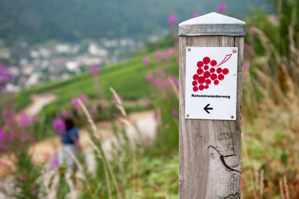 Signpost on hiking trail in Ahr Valley, Rhineland Palatinate, Germany: stock photo