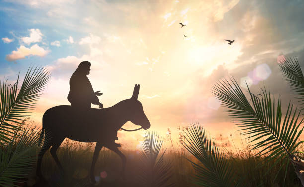 Silhouette Jesus Christ riding donkey on meadow sunset stock photo