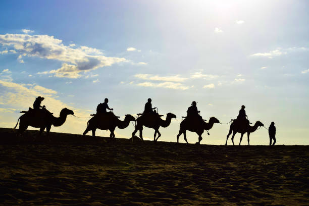 Silhouette of  A Camel Caravan in the Desert Landscape. Silhouette of a camel caravan in the desert, beautiful morning sky as background. Created in Dunhuang, China, 07/07/2018 silk road stock pictures, royalty-free photos & images