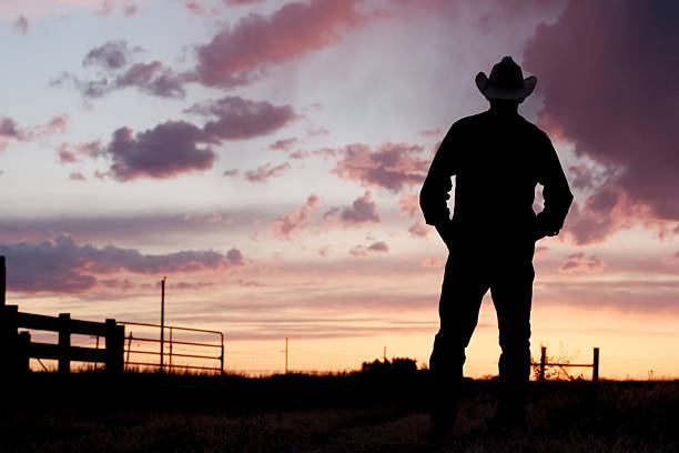 Silhouette of a cowboy at day break Cowboy watching sunset. cowboy stock pictures, royalty-free photos & images