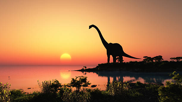 Silhouette of dinosaur at a lake at sunset stock photo