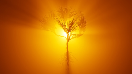 Silhouette of growing tree in a shape of a human brain. Sun rays shining through the tree. Eco Concept. 3D rendering.