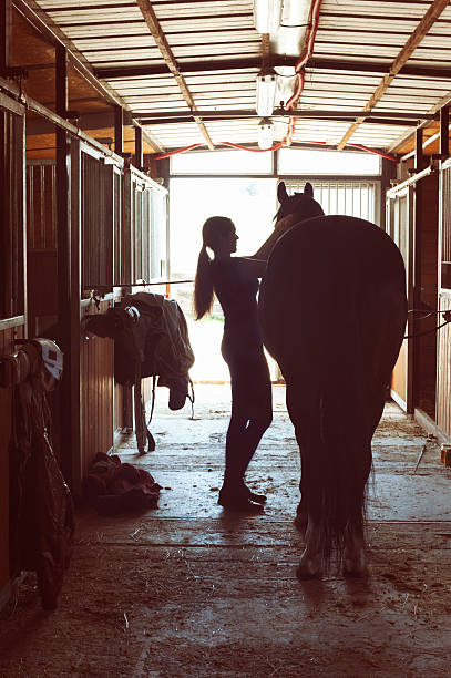 silhouette of horsewomen owner harnessing the stallion in stable - horse working bildbanksfoton och bilder