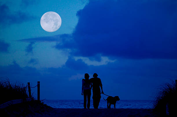 Silhouette of man, woman and dog walking under the moonlight