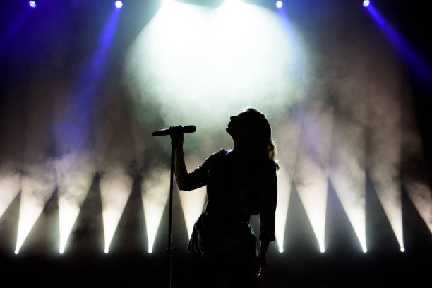 Silhouette of singer on stage. Dark background, smoke, spotlights. stock photo