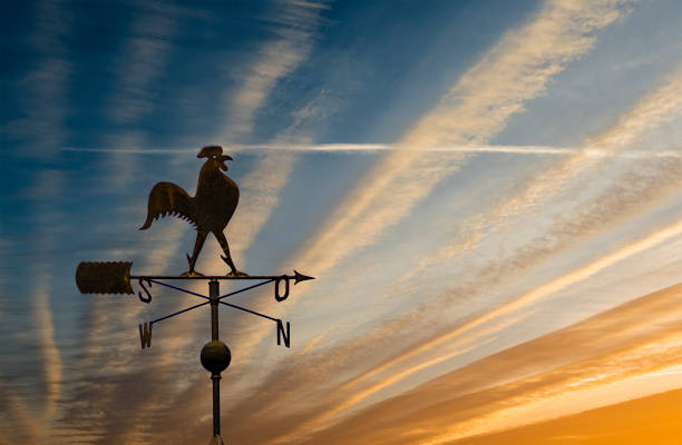 Silhouette of weather vane with decorative metallic rooster stock photo