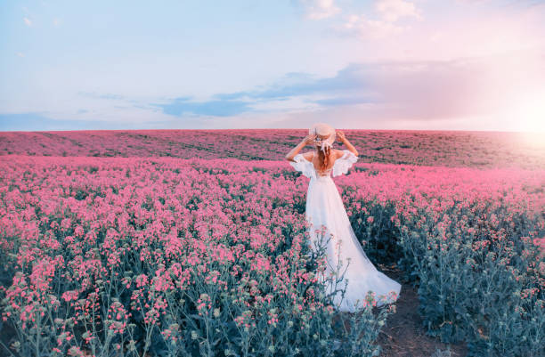 silhouette woman. white long vintage dress. Princess medieval lady in historical clothes. Straw hat boater flowers. Aroma spring nature pink flowering field, blue sky sunset sun light. back rear view silhouette woman. white long vintage dress. Princess medieval lady in historical clothes. Straw hat boater flowers. Aroma spring nature pink flowering field, blue sky sunset sun light. back rear view bridal wellbeing stock pictures, royalty-free photos & images