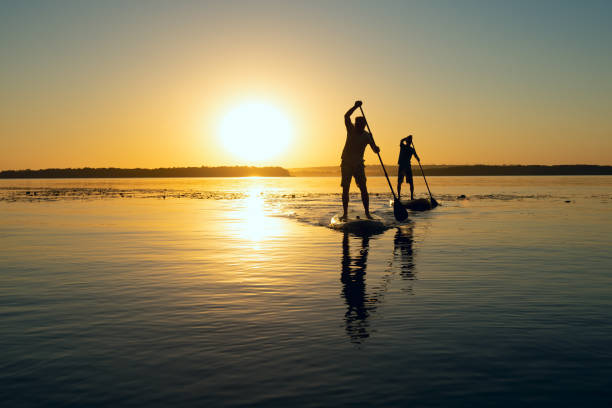 Silhouettes of men, friends paddling on a SUP boards stock photo