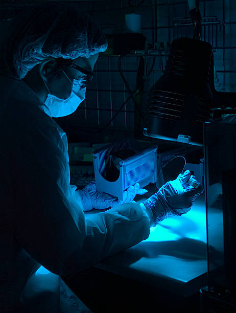 Silicon Wafer Inspection Under Blue Light stock photo