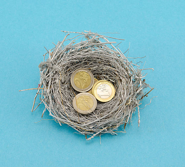 silver bird nest and euro coins money on blue stock photo