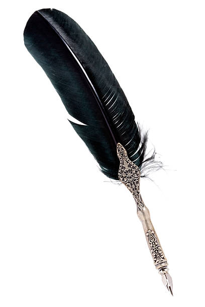 Silver quill with black feather on white stock photo