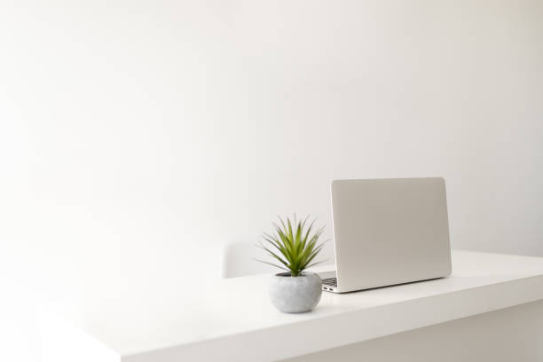 Simple minimalist modern office desk Extreme minimalist simple modern office desk. potted plant photos stock pictures, royalty-free photos & images