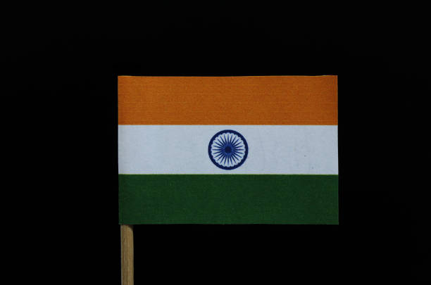 a helt enkelt och indiens officiella flagga på tandpetare på svart bakgrund. en horisontell triband indien saffran, vit och indien grön; debiteras med en marinblå hjul med 24 ekrar i centrum. - kabaddi bildbanksfoton och bilder