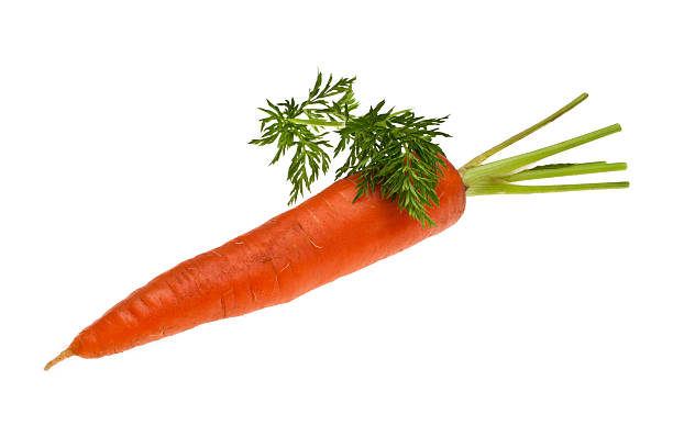 SIngle Carrot with Leaf stock photo