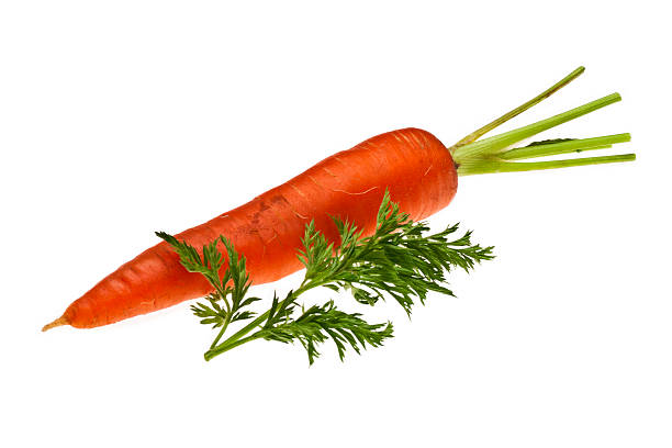 Single Carrot with Leaf stock photo