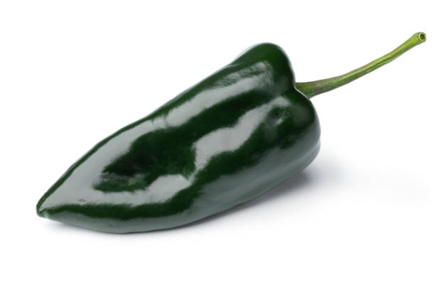Single fresh green Mexican Poblano Pepper on white background stock photo