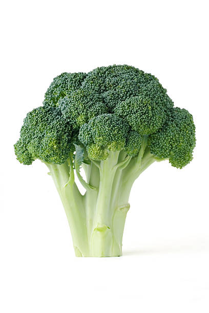 Single piece of broccoli on a white background stock photo