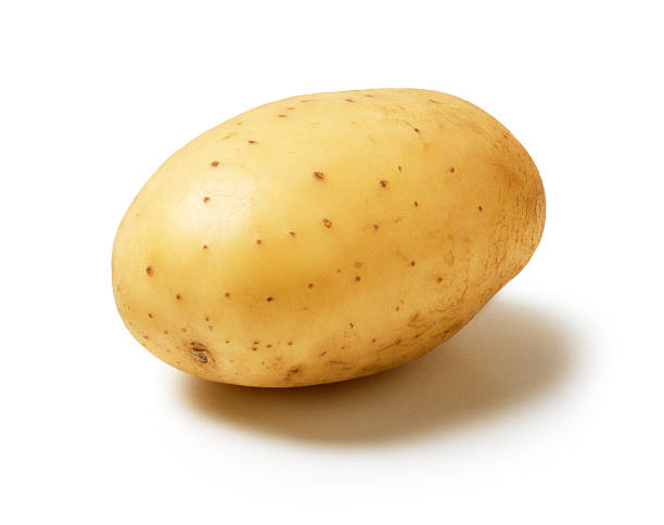 single Potato stock photo