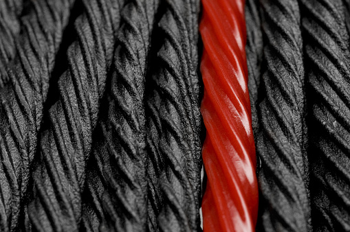 Single Red Licorice Against Black Licorice Candy Stock Photo - Download ...