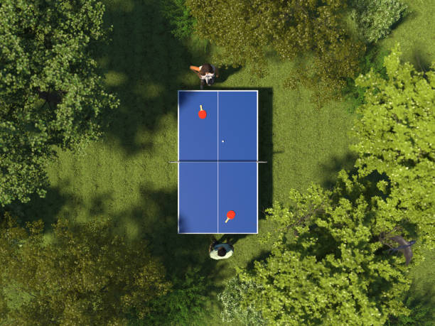 在森林中綠草地上的青草地上,在樹林中打乒乓球。兩個人在山頂的草地上打乒乓球。賭博的性質。3d 渲染。鳥瞰 - 乒乓球 球拍運動 插圖 個照片及圖片檔