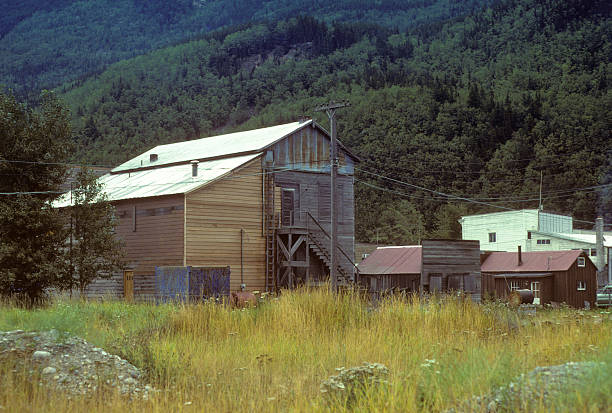 Skagway Sports Emporium, old building in Alaska Building in Skagway, Alaska, amidst wild grasses in the foreground and heavily forested mountains in the background; circa 1979 hearkencreative stock pictures, royalty-free photos & images