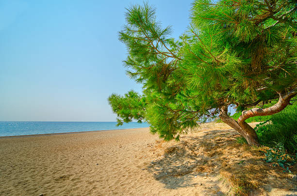 Skala beach , Kefalonia-Greece. stock photo