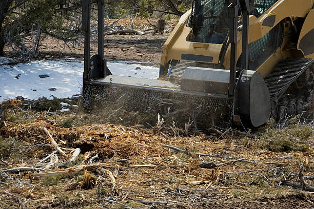 Skid Steer Mulching A skid steer mulches brush on a land clearing project in Utah. mulch stock pictures, royalty-free photos & images