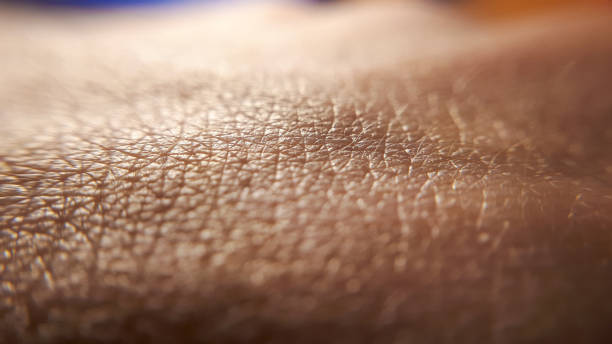 de achtergrond van de huid. de menselijke huid van de close-up. handdetail. schone kaukasische huid. - close up stockfoto's en -beelden