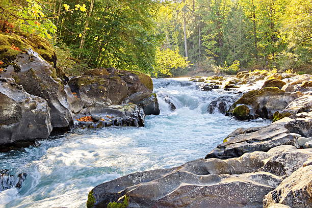 Skutz Falls at Cowichan River Provincial Park stock photo