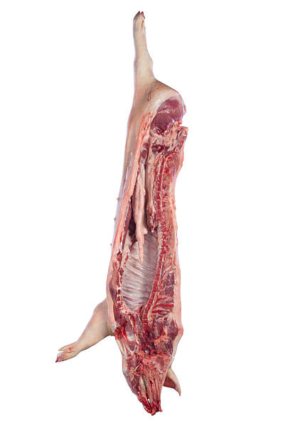 Slaughtered pig Slaughtered pig  inside, studio shot isolated on white background.Clipping path dead animal stock pictures, royalty-free photos & images