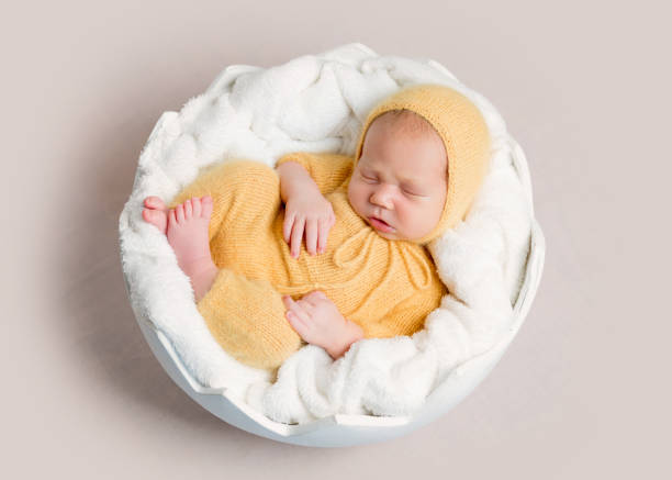 Sleeping newborn baby curled up on round basket stock photo
