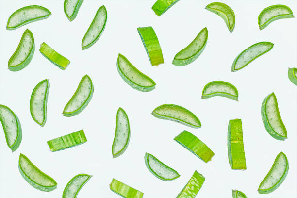 Slices of fresh green aloe vera on white background. Slices of fresh green aloe vera on white isolated background.Flat lay.Top view. gel pack stock pictures, royalty-free photos & images