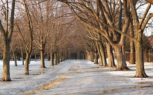 Slippery Pedestrian Walkway in Winter, Toronto, Ontario, Canada stock photo