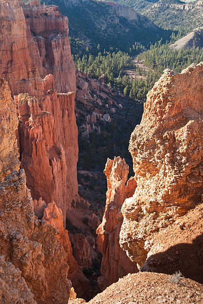 Slot Canyon at Paria View Bryce Canyon is famous for its tall thin spires of rock known as hoodoos. Hoodoos start with an initial deposition of rock. Then over time the rock is uplifted then eroded and weathered. Hoodoos typically consist of relatively soft rock topped by harder, less easily eroded stone that protects each column from the weather. Hoodoos generally form within sedimentary rock such as sandstone. These hoodoos were photographed from Paria View in Bryce Canyon National Park, Utah, USA. garfield county utah stock pictures, royalty-free photos & images