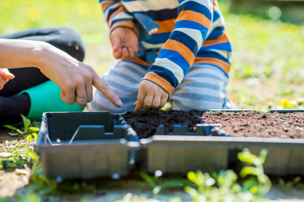Small boy helping his mother do the planting stock photo