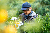 柑橘類農場でオレンジを摘む中小企業の農場の所有者