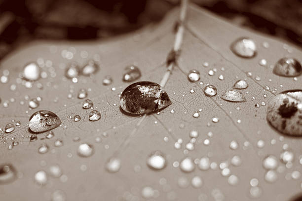 Small Droplets stock photo