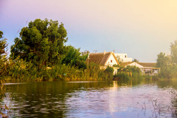 Small farmhouse, or "barraca", in the lagoon "La Albufera", in Valencia, Spain Small farmhouse, or "barraca", in the lagoon "La Albufera", in Valencia, Spain albufera stock pictures, royalty-free photos & images