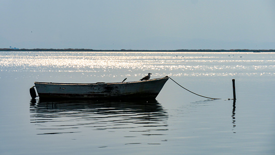 Small fishing boat floating on the water.