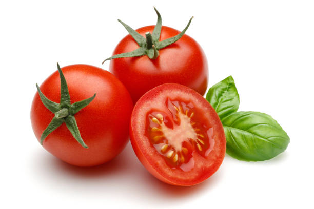 kleine frische tomaten mit basilikum - tomate stock-fotos und bilder
